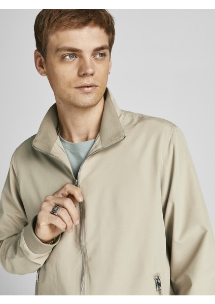 Dik Yaka Bomber Ceket-12204277 fiyatları