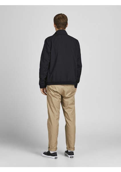 Dik Yaka Bomber Ceket-12204277 fiyatları