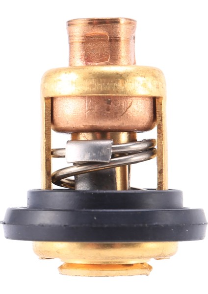 Adet 66M-12411-00 Yamaha Dıştan Takma Motor Motor Parçası Için Tekne Motoru Termostatı (Yurt Dışından)
