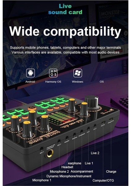 V90 Ses Kartı Profesyonel Ses Kondansatör Mikrofonu Stüdyo Şarkı Mikrofonu Karaoke Podcast Kaydı Canlı Yayın (Yurt Dışından)