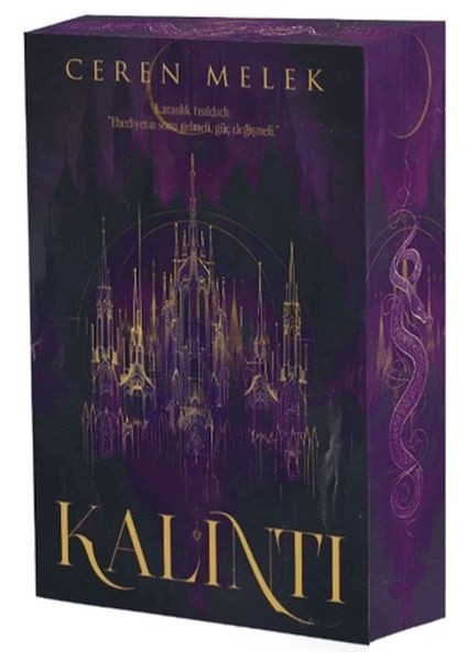 Kalıntı
