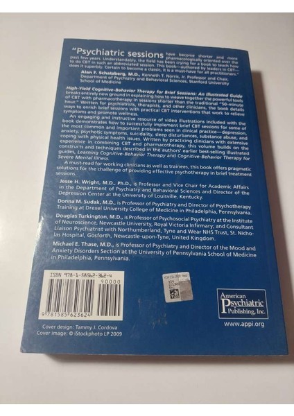 High-Yield Cognitive-Behavior Therapy For Brief Sessions: An Illustrated Guide fiyatları
