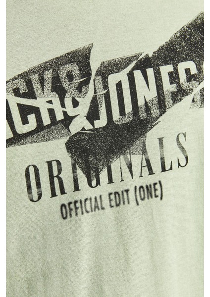 12205944_Jorcomfortbranding Tee Bisiklet Yaka Standart Kalıp Baskılı Açık Yeşil Erkek fiyatları