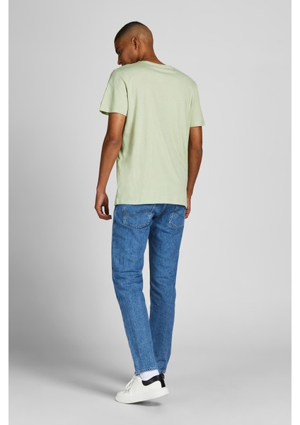 12205944_Jorcomfortbranding Tee Bisiklet Yaka Standart Kalıp Baskılı Açık Yeşil Erkek fırsatları