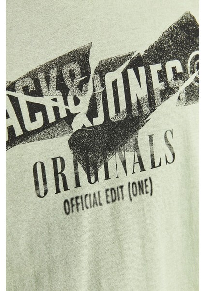 12205944_Jorcomfortbranding Tee Bisiklet Yaka Standart Kalıp Baskılı Açık Yeşil Erkek