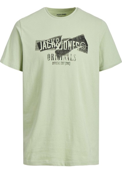 12205944_Jorcomfortbranding Tee Bisiklet Yaka Standart Kalıp Baskılı Açık Yeşil Erkek