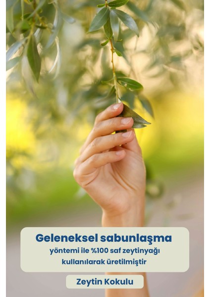 Hand Sıvı El Sabunu Zeytinyağlı | %100 Saf Zeytinyağlı | Vegan Ve Doğal İçerik | Kolay Durulanır | 500 ml