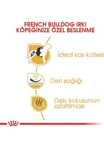 French Bulldog Adult Yetişkin Köpek Maması 3 Kg