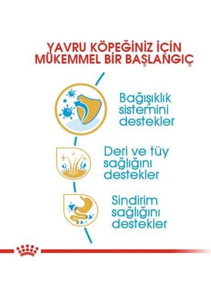 Yorkshire Terrier Junior Yavru Köpek Maması 1,5 kg