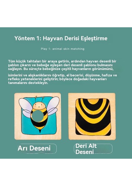 Lojik Düşünme Gözlem Becerisi Zeka Geliştirici Eğitim Malzemeleri (Yurt Dışından) fırsatları