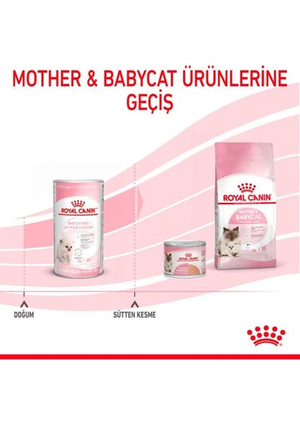 Babycat Milk Yavru Süt Tozu Kiti 3x100 Gr (300 Gr)