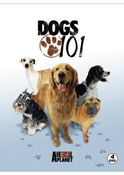 Dogs 101 - Köpekler