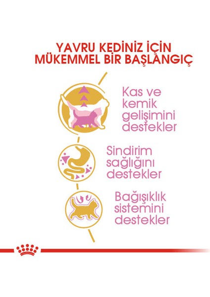 British Shorthair Kedi Maması 2 Kg