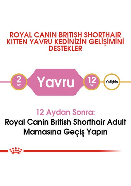 British Shorthair Kedi Maması 2 Kg
