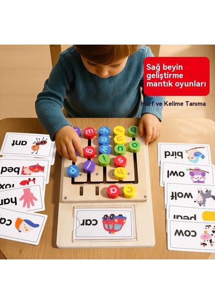Kelime Mantık Zekâ Eğitici Oyuncak (Yurt Dışından) fırsatları