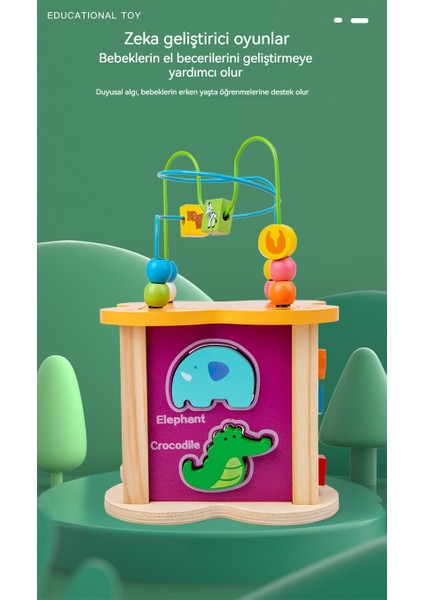 Dört Yüzlü Boncuk Oyunu Hazine Kutusu Zeka Oyuncağı (Yurt Dışından) fiyatları