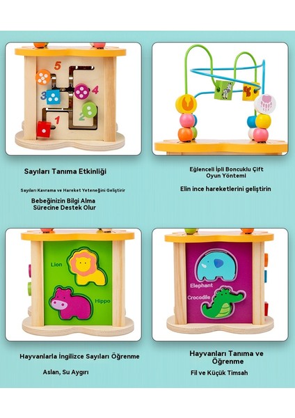 Dört Yüzlü Boncuk Oyunu Hazine Kutusu Zeka Oyuncağı (Yurt Dışından) fırsatları