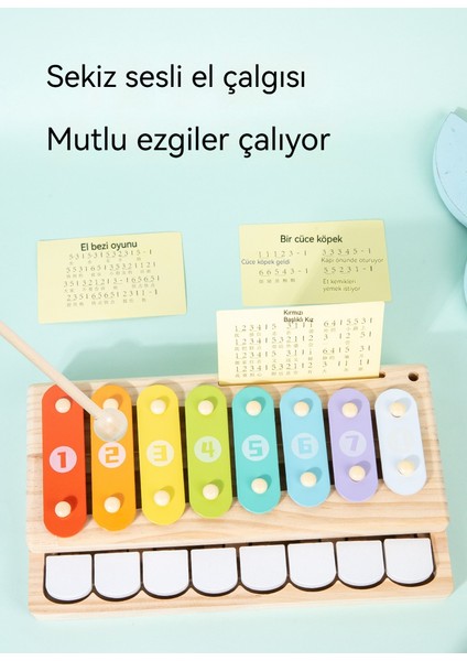 Çalma, Müzikli Erken Eğitim Geliştirici Zeka Oyuncağı (Yurt Dışından) fiyatları