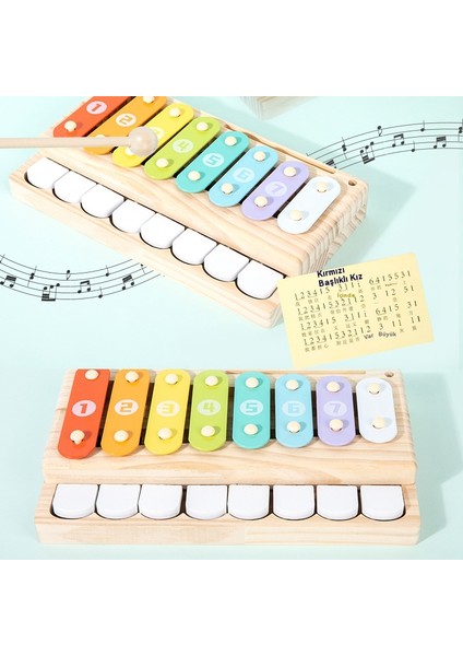 Çalma, Müzikli Erken Eğitim Geliştirici Zeka Oyuncağı (Yurt Dışından) indirimleri