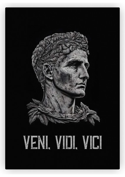 Veni Vidi Vici Julius Sezar Ahşap Poster 20X29 cm