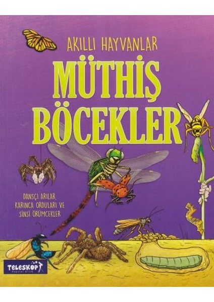 Akıllı Hayvanlar Müthiş Böcekler