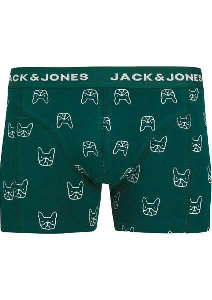 JACDENIM DOG TRUNKS 3 PAC Yeşil Erkek Boxer