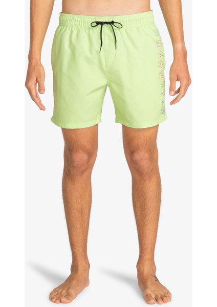 ALL DAY HERITAG JAMV Yeşil Erkek Deniz Şortu