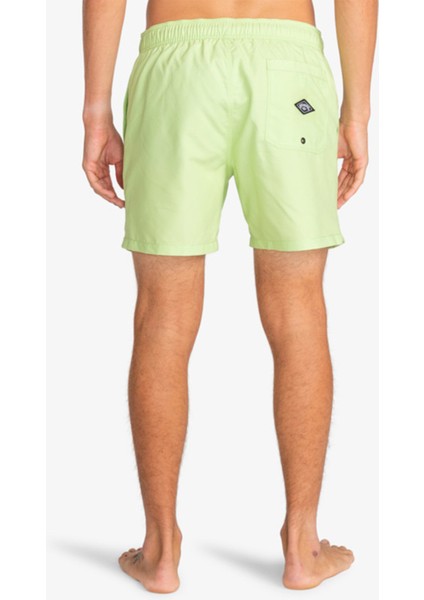 ALL DAY HERITAG JAMV Yeşil Erkek Deniz Şortu