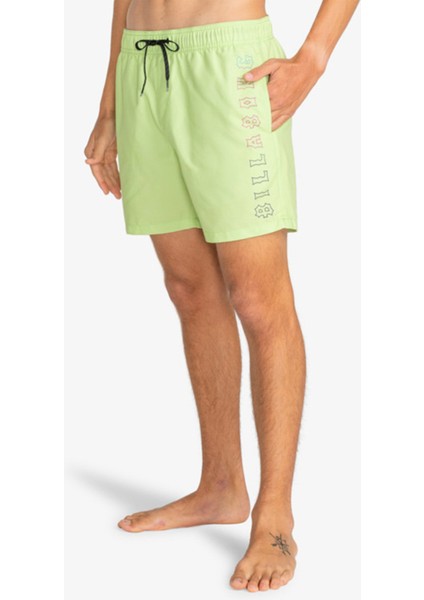 ALL DAY HERITAG JAMV Yeşil Erkek Deniz Şortu