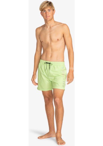ALL DAY HERITAG JAMV Yeşil Erkek Deniz Şortu