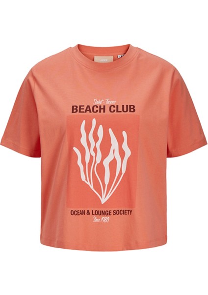 JXSALLY REG ONECK SS TEE Yavruağzı Kadın Kısa Kol T-Shirt