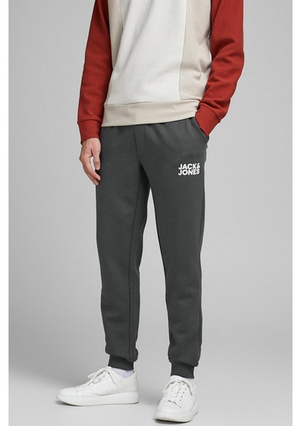 JJIGORDON JJNEWSOFT SWEAT Gri Erkek Eşofman Altı
