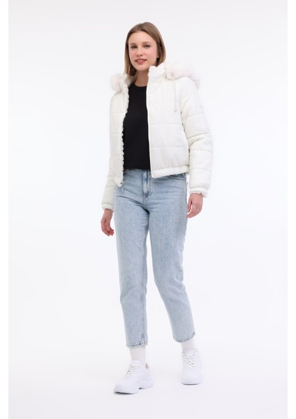 Wl Alba 2CN2120 4pr Ekru Kadın Kısa Kaban