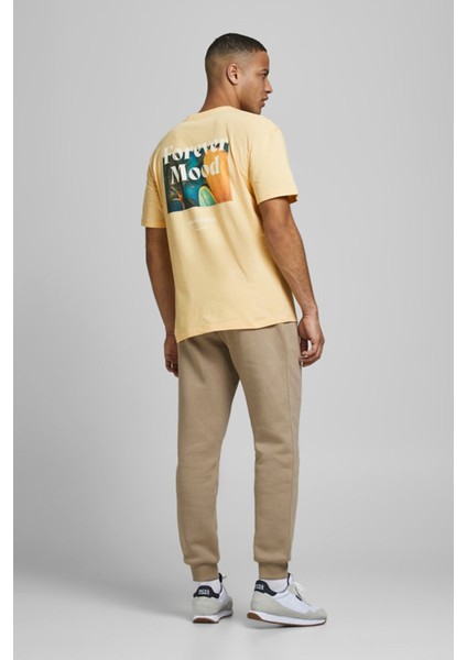 JORPOOLBOY TEE SS CREW NE Sarı Erkek Kısa Kol T-Shirt