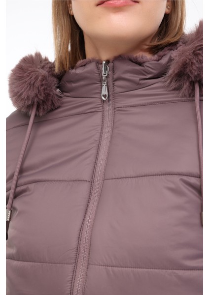 Wl Alba 2CN2120 4pr Kahverengi Kadın Kısa Kaban