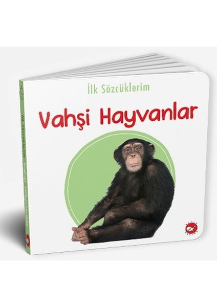 Ilk Sözcüklerim - Vahşi Hayvanlar