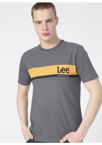 Logo Erkek Gri Bisiklet Yaka Tişört fiyatları