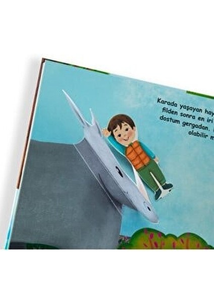 Saklambaç Kitabı - Hayvan Dostlarla