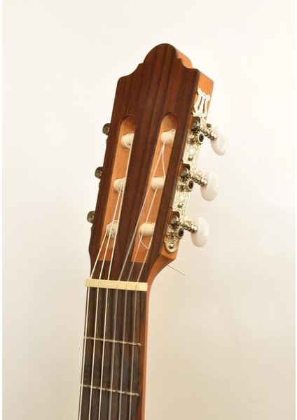 Nac1 Eco Elektro Klasik Gitar, Ince Kasa indirimleri