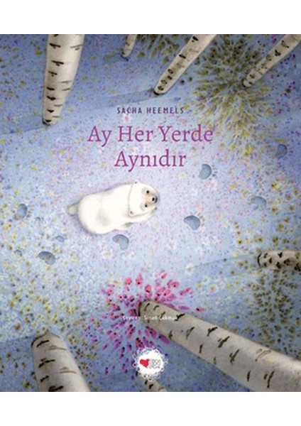 Ay Her Yerde Aynıdır