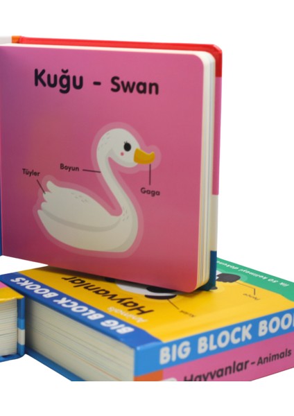 Dışarıdaki Hayat (Out And About) - Big Block Books