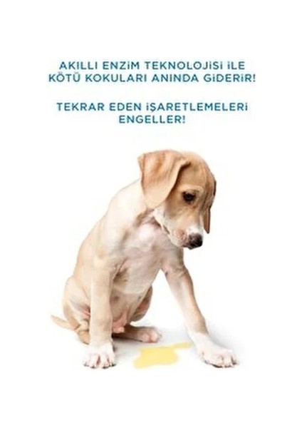 Evcil Hayvan Koku Ve Leke Giderici 500 ML