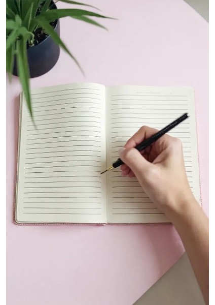 Stıtch ve Capybara Sulu/pullu Defter fiyatları