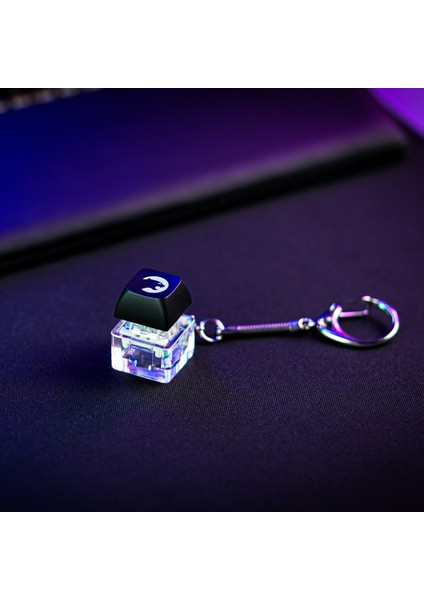 Mavi Switch Tuş Takımlı Anahtarlık modelleri