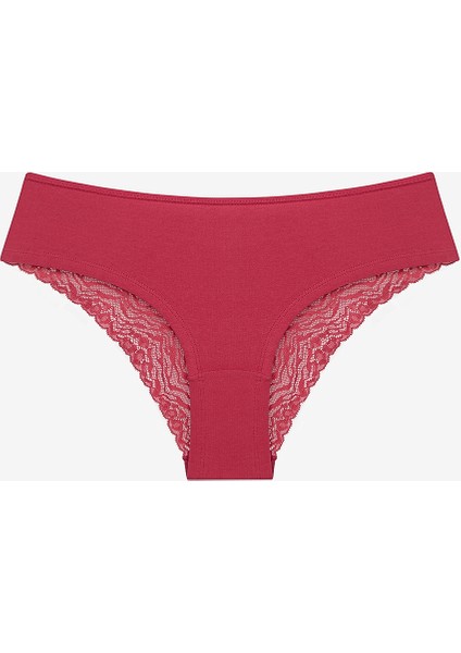 Wild Flower Lacy Detailed 3lü Çok Renkli Hipster Külot