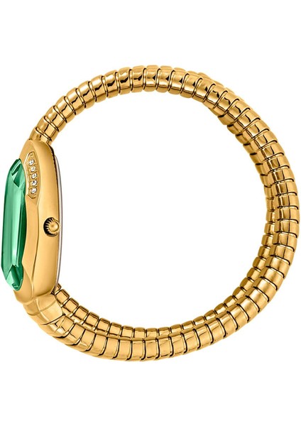 Just Cavallı JC1L209M0045 Kadın Kol Saati modelleri