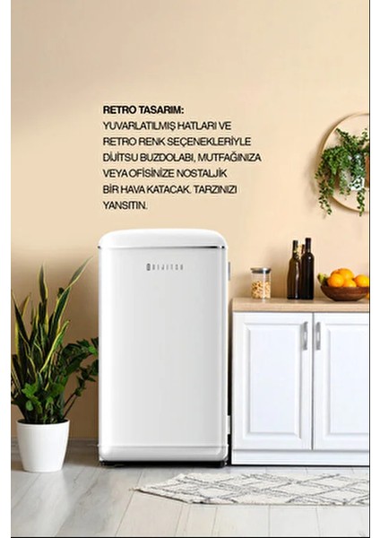 DB120RWH E 93 lt Statik Retro Beyaz Buzdolabı Mekanik Kontrol Paneli ile