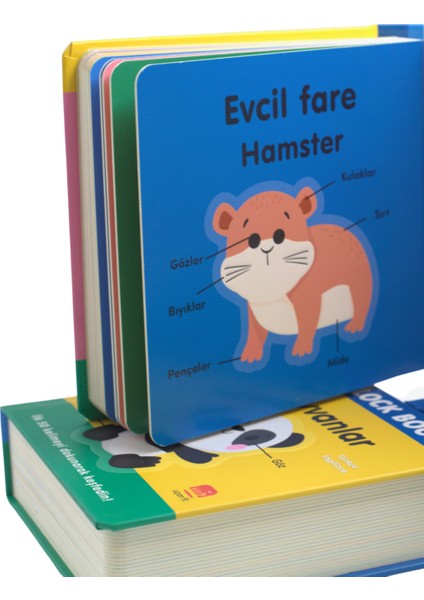 Benim Dünyam (My Word) - Big Block Books fırsatları