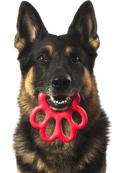 Orma Mini Köpek Oyuncağı Sarı modelleri