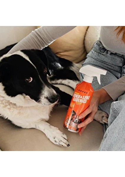 Evcil Hayvan Koku Ve Leke Giderici 500 ML